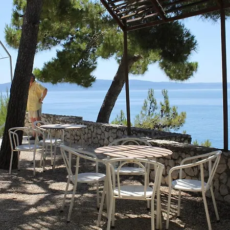 6805c * 포드고라